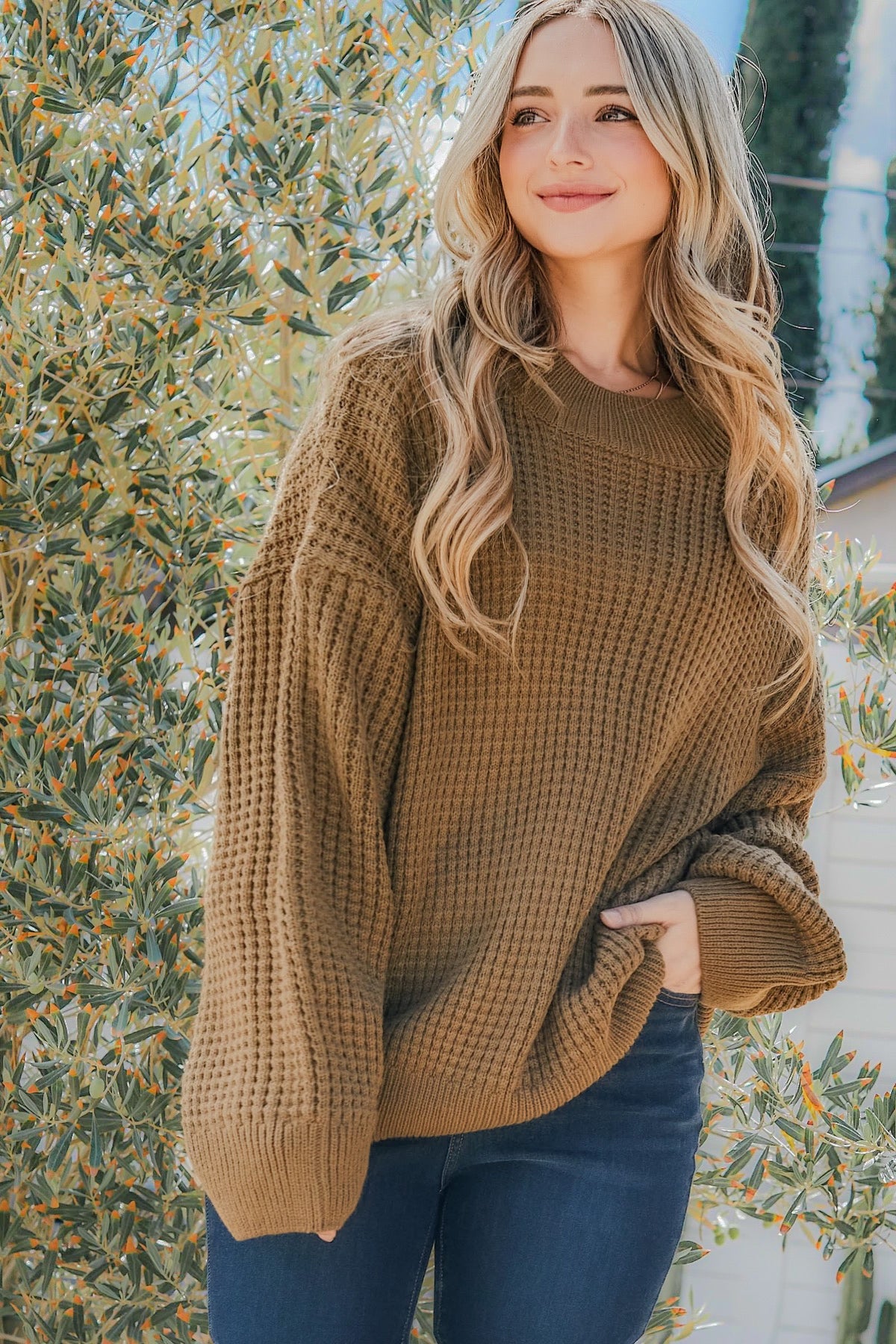 Sweet Latte Sweater Curves